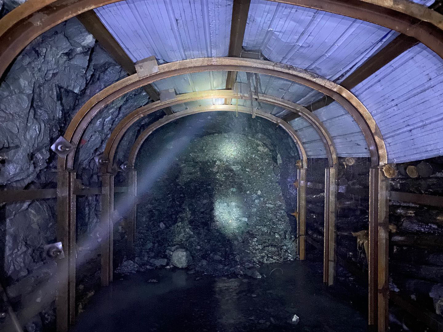 ����� | �ٷ���վ