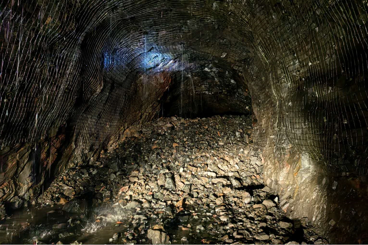 ����� | �ٷ���վ